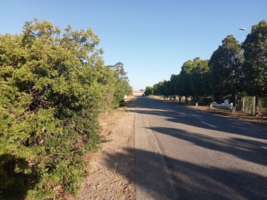 0 Bedroom Property for Sale in Koringberg Western Cape